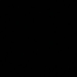 Meet your Posher, Lilly